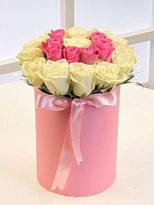 Pembe Kutuda Pembe Harf